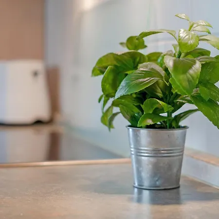 Nimm Dir Zeit Fuer Scharbeutz